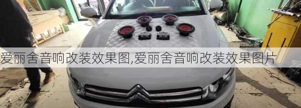爱丽舍音响改装效果图,爱丽舍音响改装效果图片
