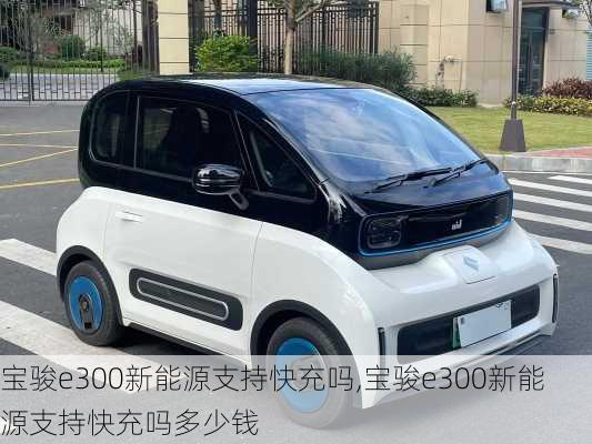 宝骏e300新能源支持快充吗,宝骏e300新能源支持快充吗多少钱
