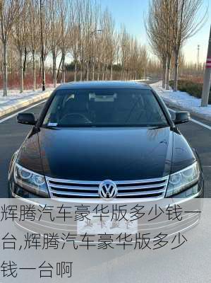辉腾汽车豪华版多少钱一台,辉腾汽车豪华版多少钱一台啊