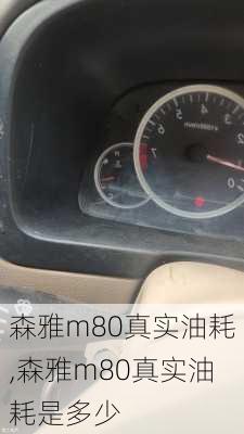 森雅m80真实油耗,森雅m80真实油耗是多少