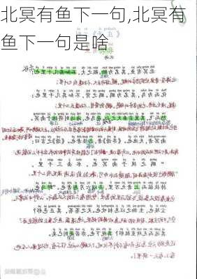 北冥有鱼下一句,北冥有鱼下一句是啥