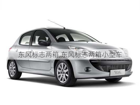东风标志两箱,东风标志两箱小型车