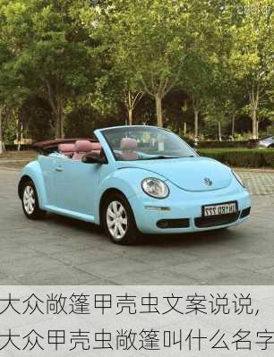 大众敞篷甲壳虫文案说说,大众甲壳虫敞篷叫什么名字