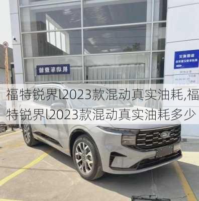 福特锐界l2023款混动真实油耗,福特锐界l2023款混动真实油耗多少
