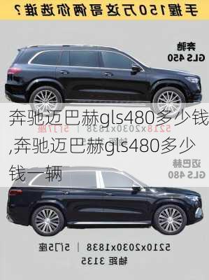 奔驰迈巴赫gls480多少钱,奔驰迈巴赫gls480多少钱一辆