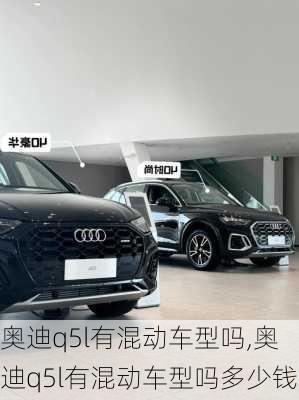 奥迪q5l有混动车型吗,奥迪q5l有混动车型吗多少钱