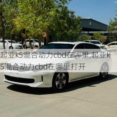 起亚k5混合动力cbd在哪里,起亚k5混合动力cbd在哪里打开