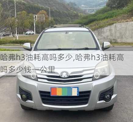 哈弗h3油耗高吗多少,哈弗h3油耗高吗多少钱一公里