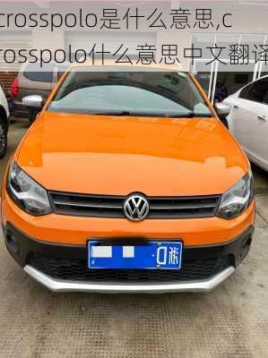 crosspolo是什么意思,crosspolo什么意思中文翻译