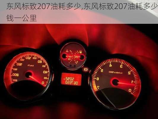 东风标致207油耗多少,东风标致207油耗多少钱一公里