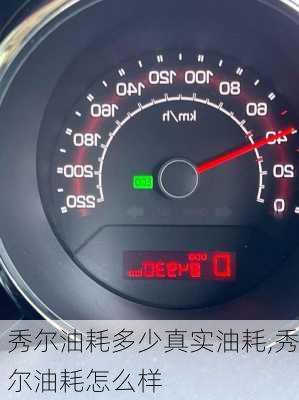 秀尔油耗多少真实油耗,秀尔油耗怎么样