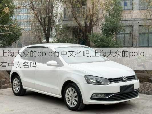 上海大众的polo有中文名吗,上海大众的polo有中文名吗