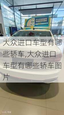大众进口车型有哪些轿车,大众进口车型有哪些轿车图片