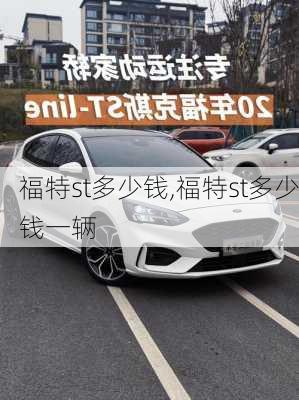 福特st多少钱,福特st多少钱一辆