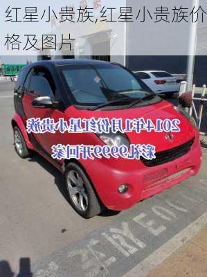 红星小贵族,红星小贵族价格及图片