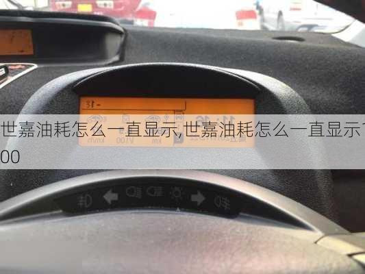 世嘉油耗怎么一直显示,世嘉油耗怎么一直显示100
