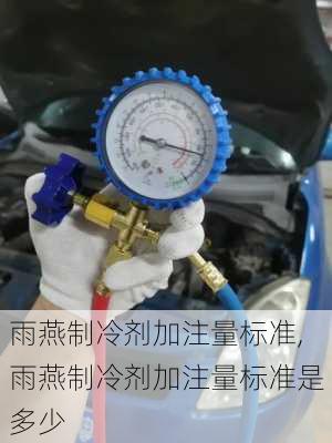 雨燕制冷剂加注量标准,雨燕制冷剂加注量标准是多少