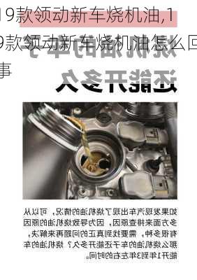 19款领动新车烧机油,19款领动新车烧机油怎么回事
