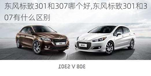 东风标致301和307哪个好,东风标致301和307有什么区别