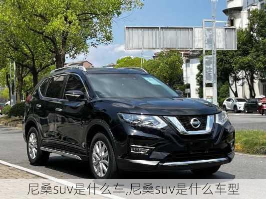 尼桑suv是什么车,尼桑suv是什么车型