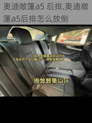 奥迪敞篷a5 后排,奥迪敞篷a5后排怎么放倒
