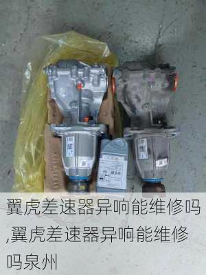 翼虎差速器异响能维修吗,翼虎差速器异响能维修吗泉州