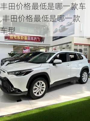 丰田价格最低是哪一款车,丰田价格最低是哪一款车型