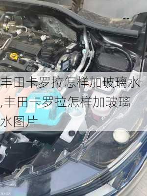 丰田卡罗拉怎样加玻璃水,丰田卡罗拉怎样加玻璃水图片