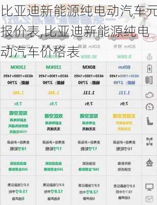 比亚迪新能源纯电动汽车元报价表,比亚迪新能源纯电动汽车价格表