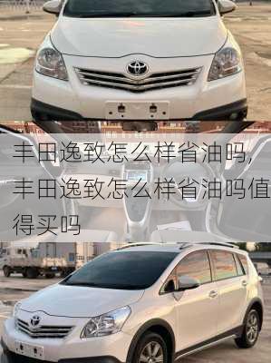 丰田逸致怎么样省油吗,丰田逸致怎么样省油吗值得买吗