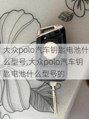 大众polo汽车钥匙电池什么型号,大众polo汽车钥匙电池什么型号的