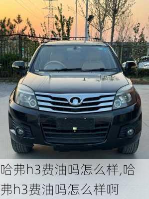 哈弗h3费油吗怎么样,哈弗h3费油吗怎么样啊