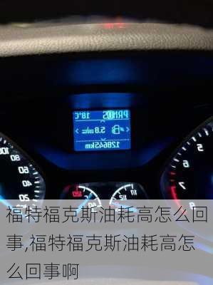 福特福克斯油耗高怎么回事,福特福克斯油耗高怎么回事啊