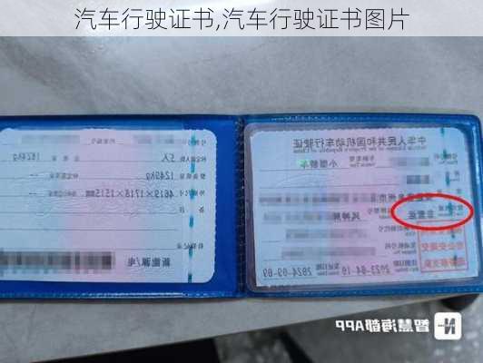 汽车行驶证书,汽车行驶证书图片