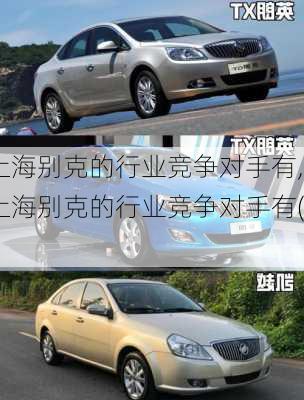 上海别克的行业竞争对手有,上海别克的行业竞争对手有( )
