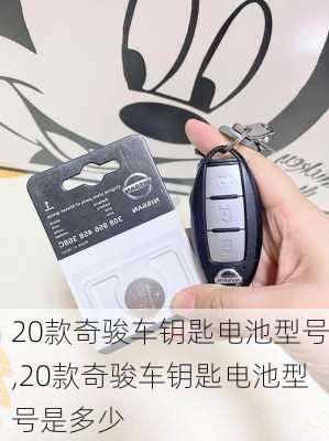 20款奇骏车钥匙电池型号,20款奇骏车钥匙电池型号是多少