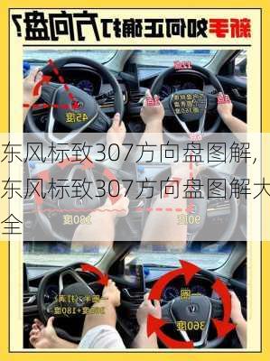 东风标致307方向盘图解,东风标致307方向盘图解大全