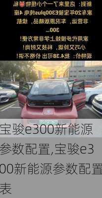 宝骏e300新能源参数配置,宝骏e300新能源参数配置表