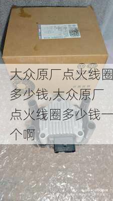 大众原厂点火线圈多少钱,大众原厂点火线圈多少钱一个啊