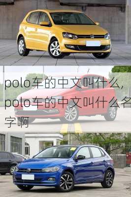 polo车的中文叫什么,polo车的中文叫什么名字啊