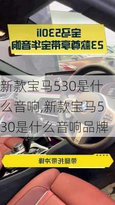 新款宝马530是什么音响,新款宝马530是什么音响品牌
