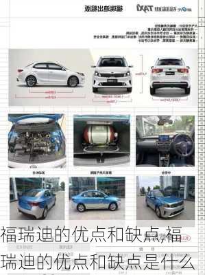 福瑞迪的优点和缺点,福瑞迪的优点和缺点是什么