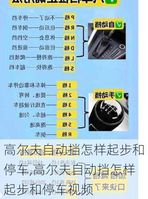 高尔夫自动挡怎样起步和停车,高尔夫自动挡怎样起步和停车视频