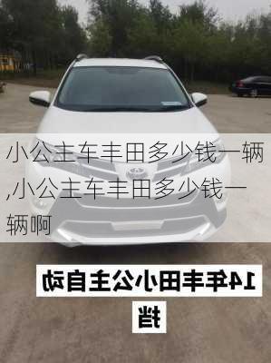 小公主车丰田多少钱一辆,小公主车丰田多少钱一辆啊