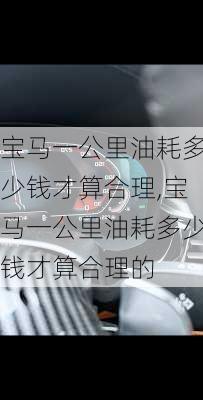 宝马一公里油耗多少钱才算合理,宝马一公里油耗多少钱才算合理的
