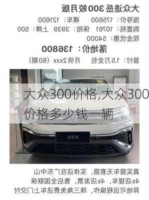 大众300价格,大众300价格多少钱一辆