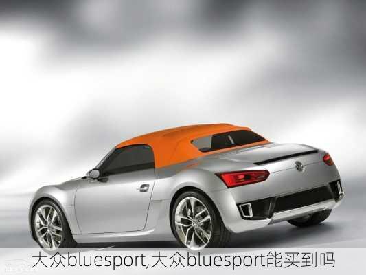 大众bluesport,大众bluesport能买到吗