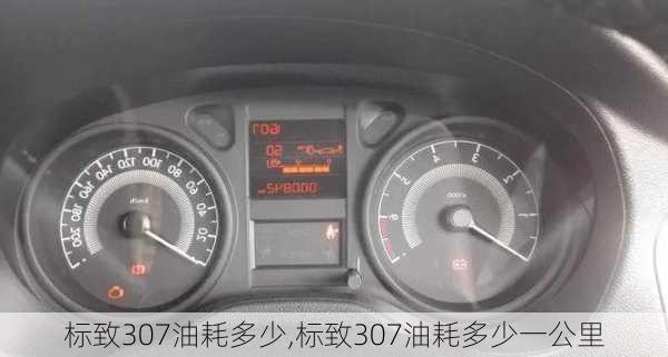 标致307油耗多少,标致307油耗多少一公里