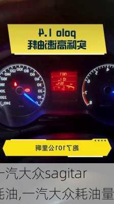一汽大众sagitar耗油,一汽大众耗油量