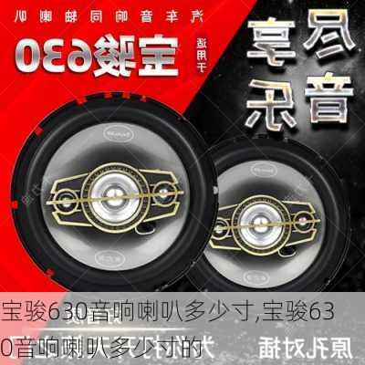 宝骏630音响喇叭多少寸,宝骏630音响喇叭多少寸的